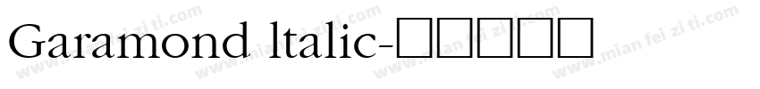 Garamond ltalic字体转换